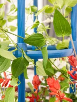 Fleur De Lis Obelisk, 67" 7 Fleur De Lis Obelisk, 67" -Garden Care Shop 8611663 0607 tif