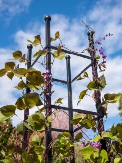 Essex Square Obelisk -Garden Care Shop 8611984 354 tif