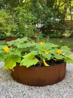 Birdies™ Corten Steel Round Raised Beds 9 Birdies™ Corten Steel Round Raised Beds -Garden Care Shop 8612422 0484 tif