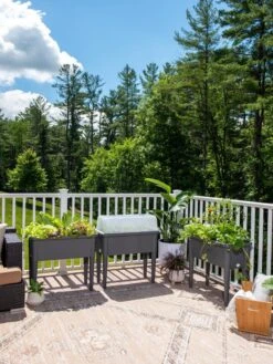 Self-Watering Standing Salad Planter With Cloche -Garden Care Shop 8612702 2002 tif