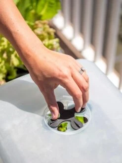 Self-Watering Standing Salad Planter With Cloche -Garden Care Shop 8612702 2034 tif