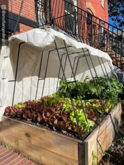 Zenith Garden Hoops, Set Of 4 13 Zenith Garden Hoops, Set Of 4 -Garden Care Shop 8612816 01CUST