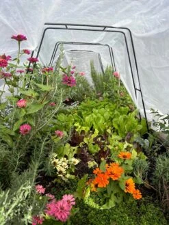 Zenith Garden Hoops, Set Of 4 12 Zenith Garden Hoops, Set Of 4 -Garden Care Shop 8612816 01TEST