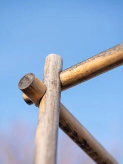 Bamboo Tomato Cages, Set Of 3 17 Bamboo Tomato Cages, Set Of 3 -Garden Care Shop 8613143 0385