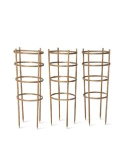 Bamboo Tomato Cages, Set Of 3 15 Bamboo Tomato Cages, Set Of 3 -Garden Care Shop 8613426 4679 bamboo tomato cages 3