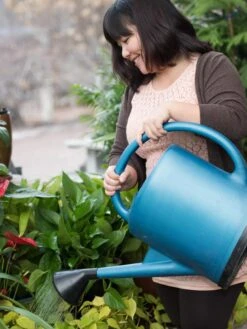 French Blue Watering Can -Garden Care Shop EmilyHoangSquare 0151 tif