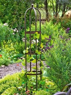Jardin Bird Cage Support, 26" -Garden Care Shop GS39529 01 tif